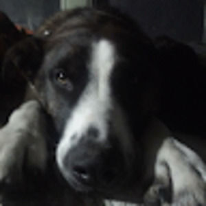 Meet your Posher, Mac